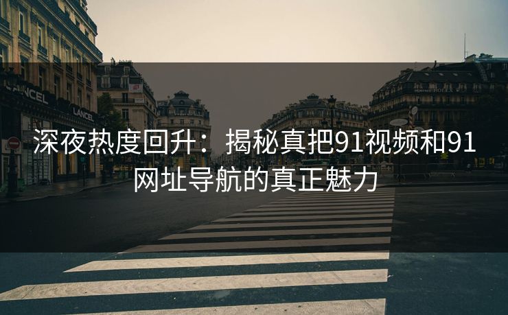 深夜热度回升：揭秘真把91视频和91网址导航的真正魅力