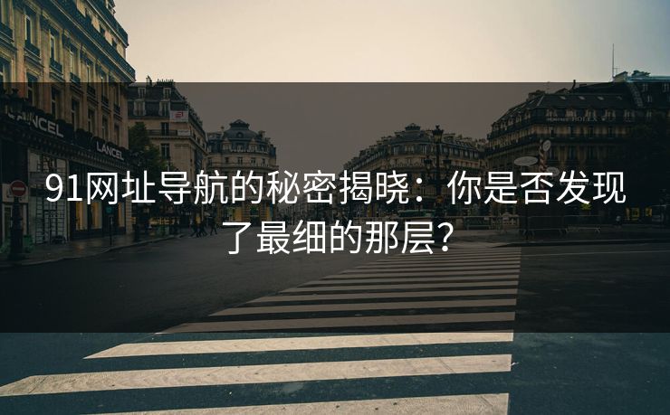 91网址导航的秘密揭晓：你是否发现了最细的那层？