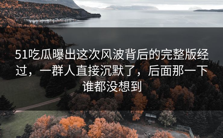 51吃瓜曝出这次风波背后的完整版经过，一群人直接沉默了，后面那一下谁都没想到