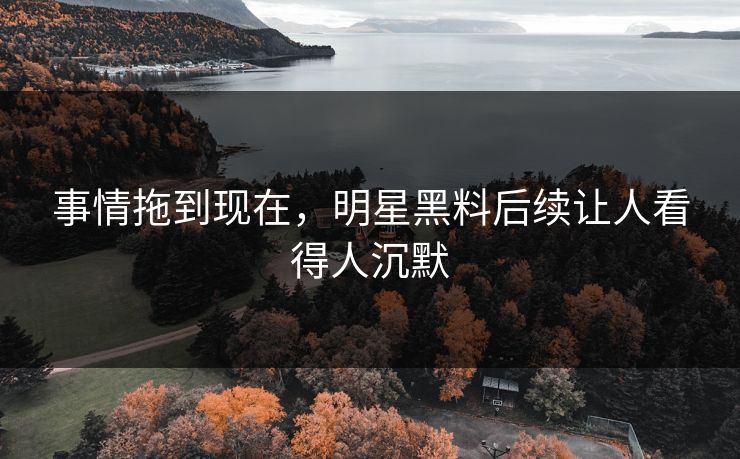 事情拖到现在，明星黑料后续让人看得人沉默