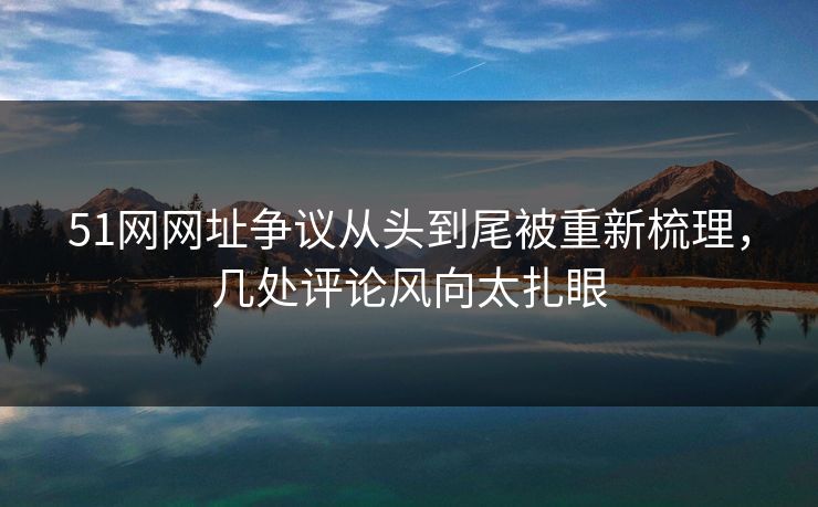 51网网址争议从头到尾被重新梳理，几处评论风向太扎眼