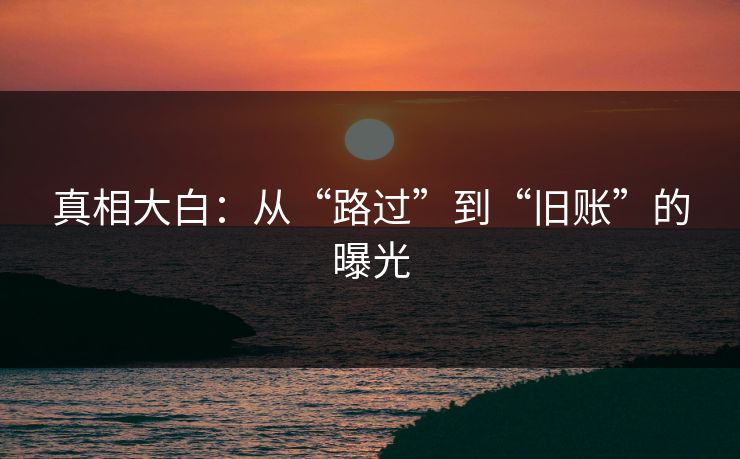 真相大白：从“路过”到“旧账”的曝光