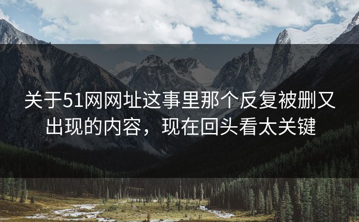 关于51网网址这事里那个反复被删又出现的内容，现在回头看太关键